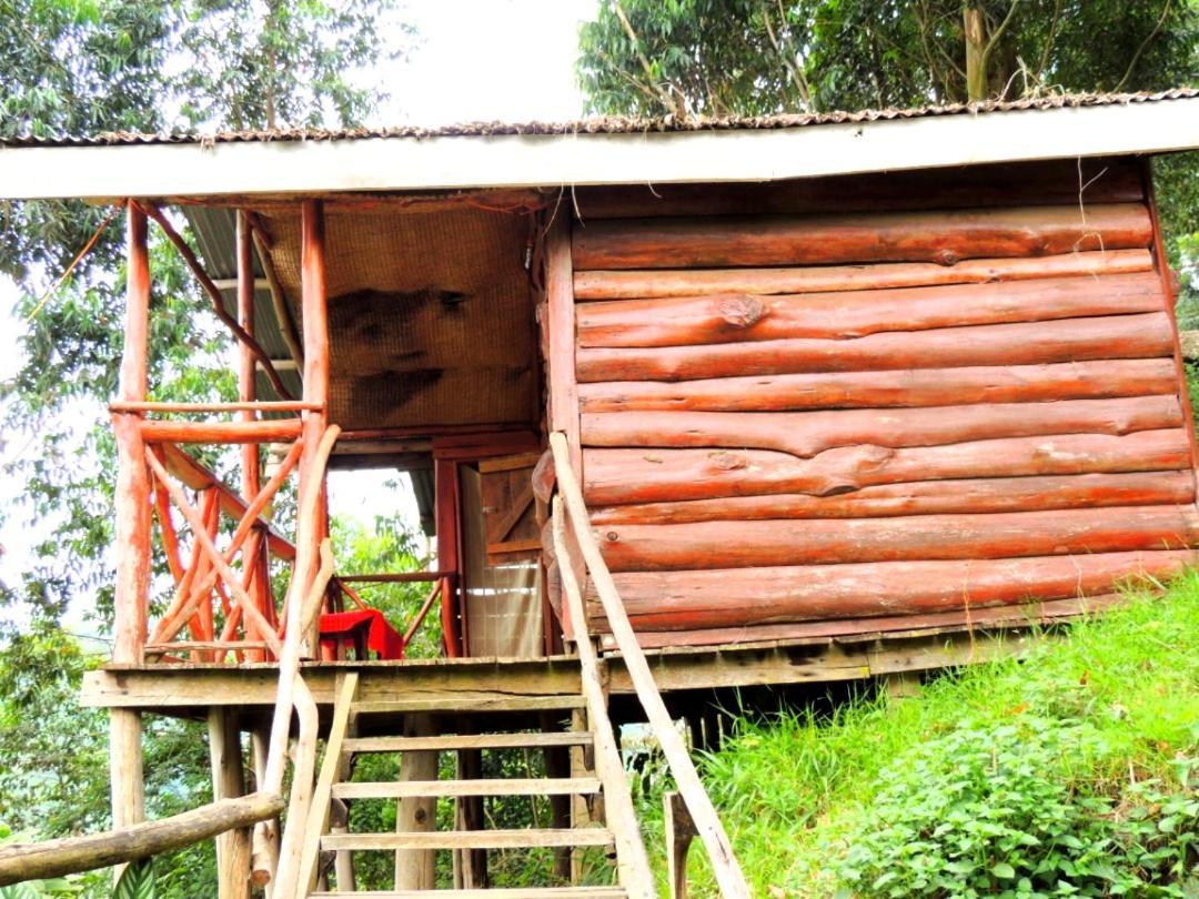 Hotel Mutanda Eco Community Center Kisoro Exterior foto